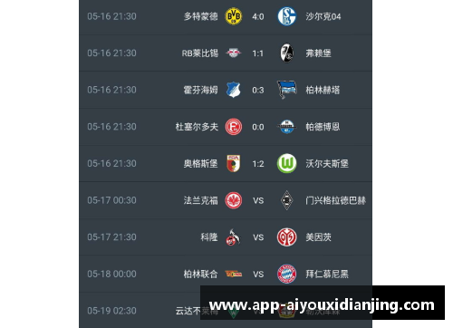 爱游戏电竞官网勒沃库森主场不敌强敌，积分榜略显落后 - 副本